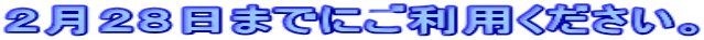 2月28日までにご利用ください。